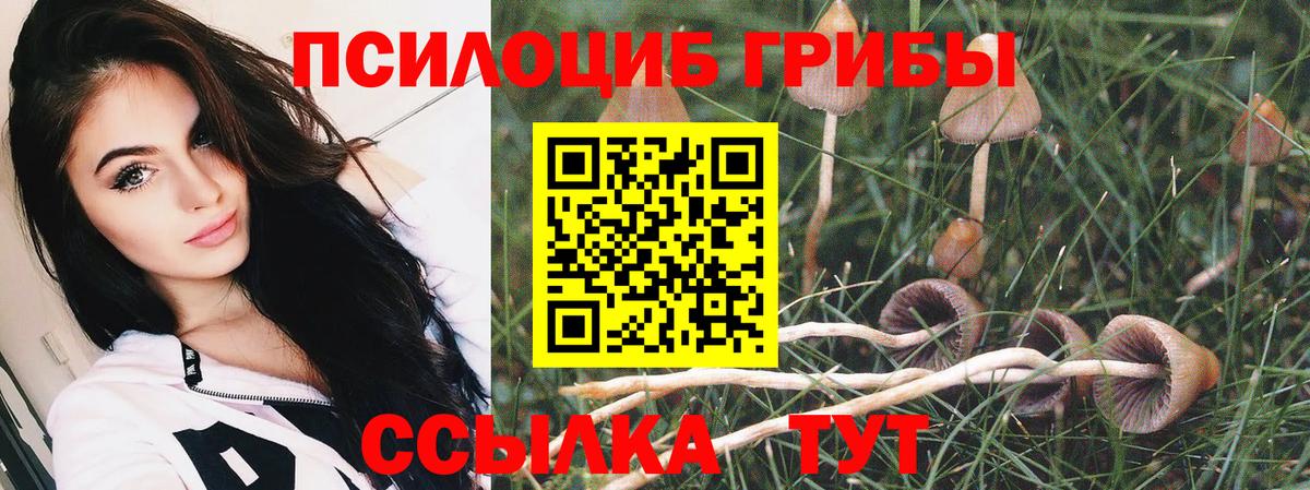 Псилоцибиновые грибы прущие грибы Кингисепп