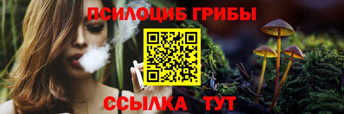 Галлюциногенные грибы MAGIC MUSHROOMS  Вход с VPN  Псилоцибиновые грибы мицелий  Кингисепп 